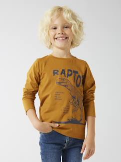 Basics T-shirt met lange mouwen voor jongens met een speels of grafisch motief  - vertbaudet enfant