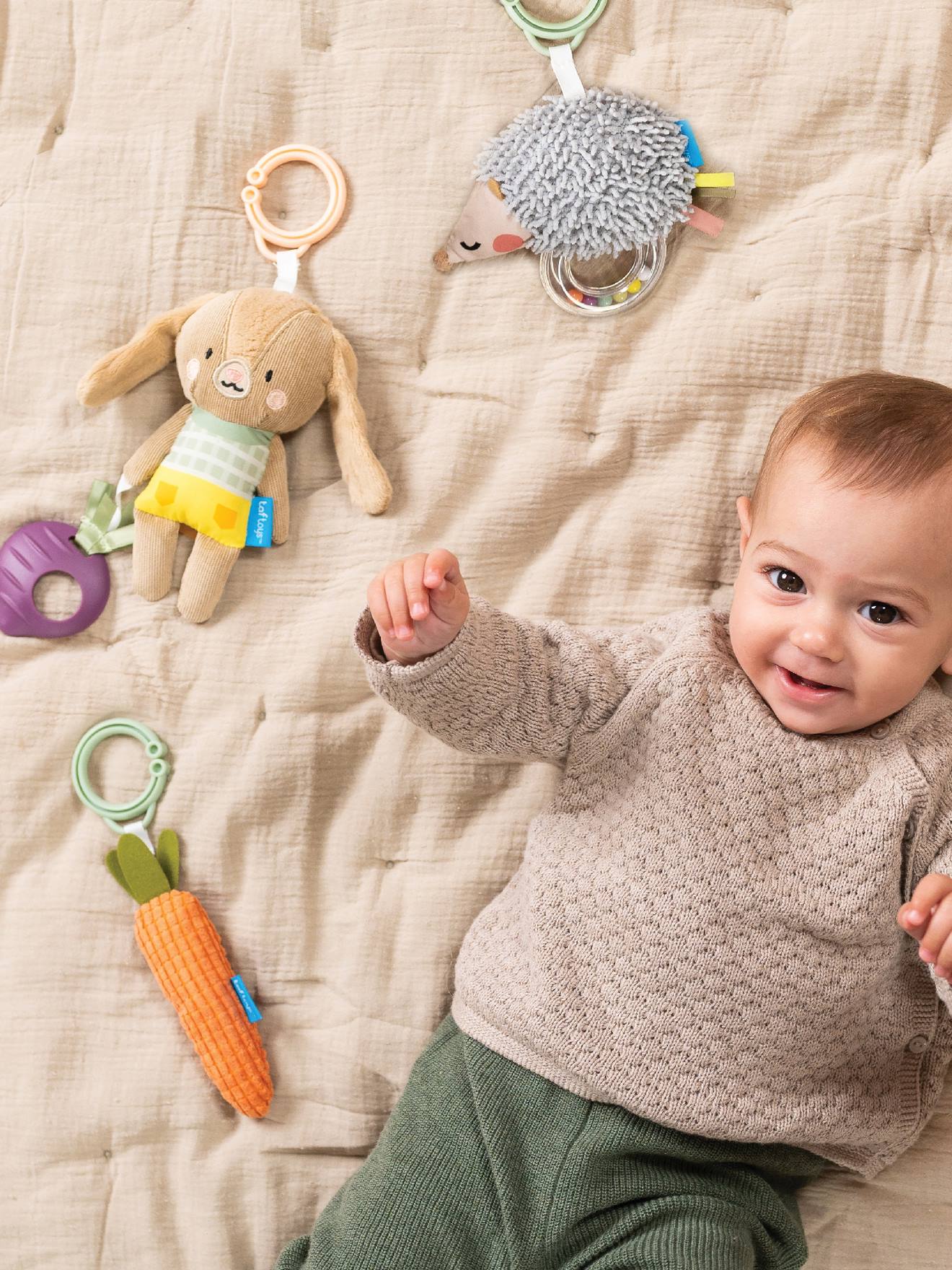 Set activiteitenspeelgoed - TAF TOYS meerkleurig