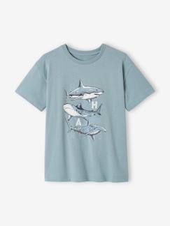 Jongensshirt dierenmotief  - vertbaudet enfant