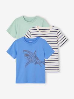 Set van 3 geassorteerde jongens-T-shirts met korte mouwen  - vertbaudet enfant