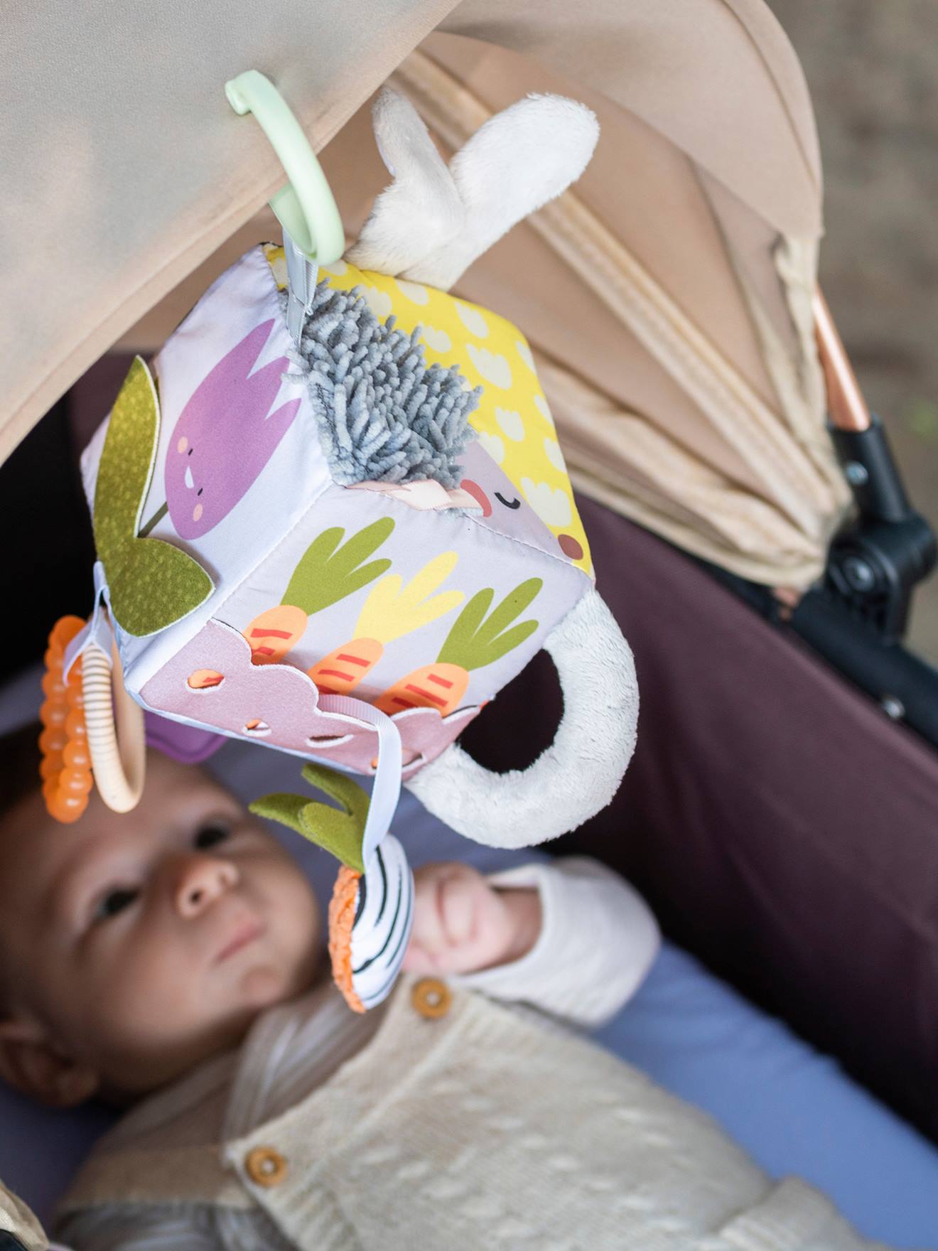 Activiteitenkubus tuin - TAF TOYS meerkleurig
