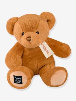 Speelgoed-Knuffel teddybeer - HISTOIRE D'OURS