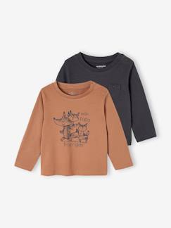 -Set van 2 T-shirts Basics baby lange mouwen