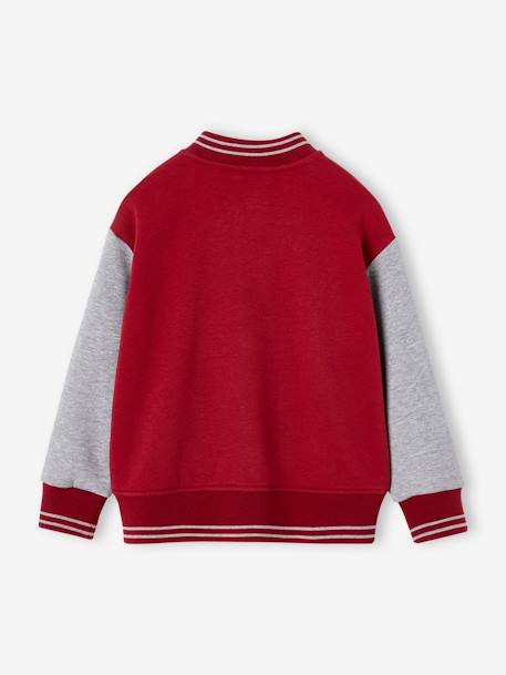 Teddy-sweatshirt in fleece voor jongens met lusbadge. dennen+hazelnoot+marineblauw+rood - vertbaudet enfant 