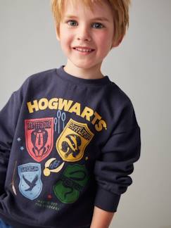 Jongens-Trui, vest, sweater-Sweater-Jongenssweater Harry Potter® Wapenschilden