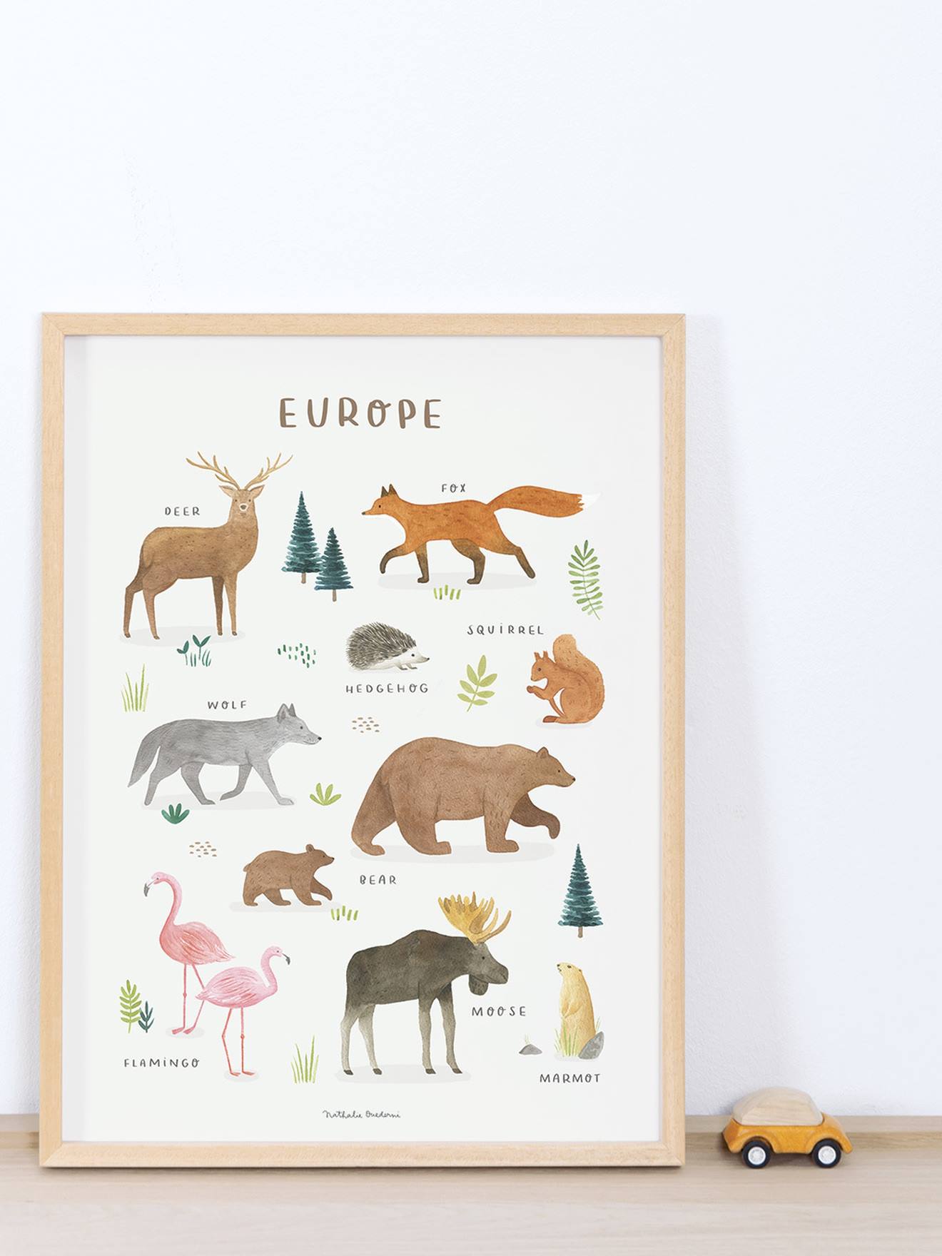 Poster dieren van Europa Lilydale LILIPINSO bruin