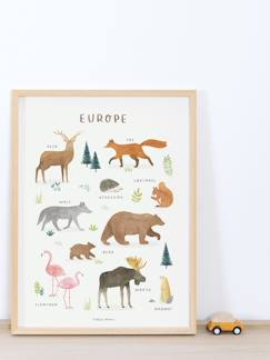 -Poster dieren van Europa Lilydale LILIPINSO