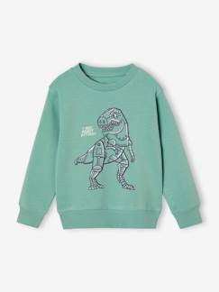 Jongens-Trui, vest, sweater-Sweater-Jongenssweater Basics met grafische motieven
