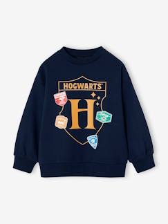 Jongens-Trui, vest, sweater-Sweater-Jongenssweater Harry Potter®