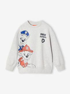 Jongens-Jungen Sweatshirt PAW PATROL mit Marshall und Chase