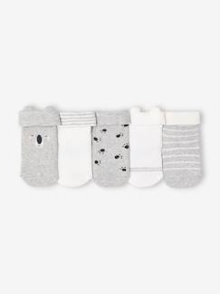 Baby-Sokken, kousen-Set van 5 paar "koala" babysokken