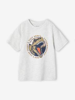Jongens-T-shirt, poloshirt, souspull-T-shirt-Jongensshirt met dinomotief