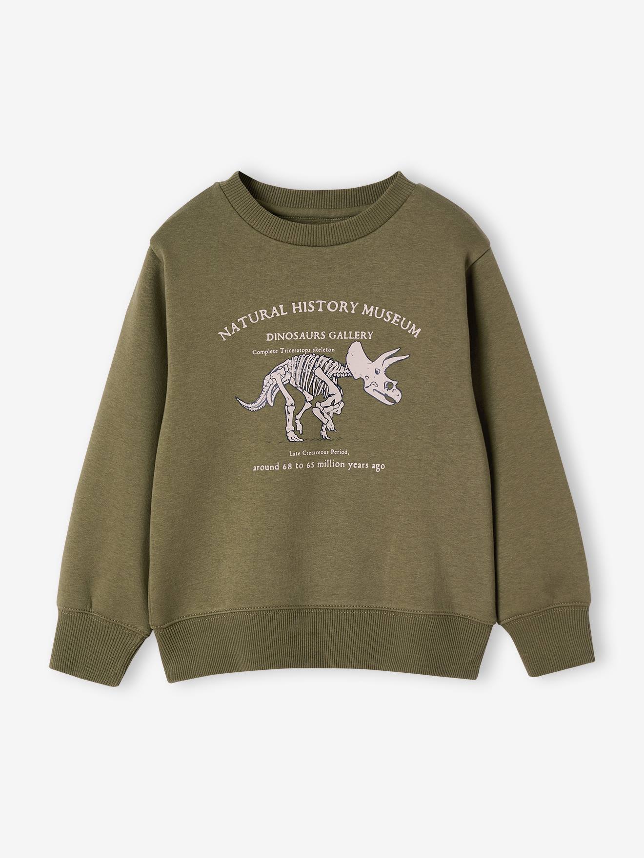 Sweater met ronde hals en geplaatste print voor jongens kaki afbeelding
