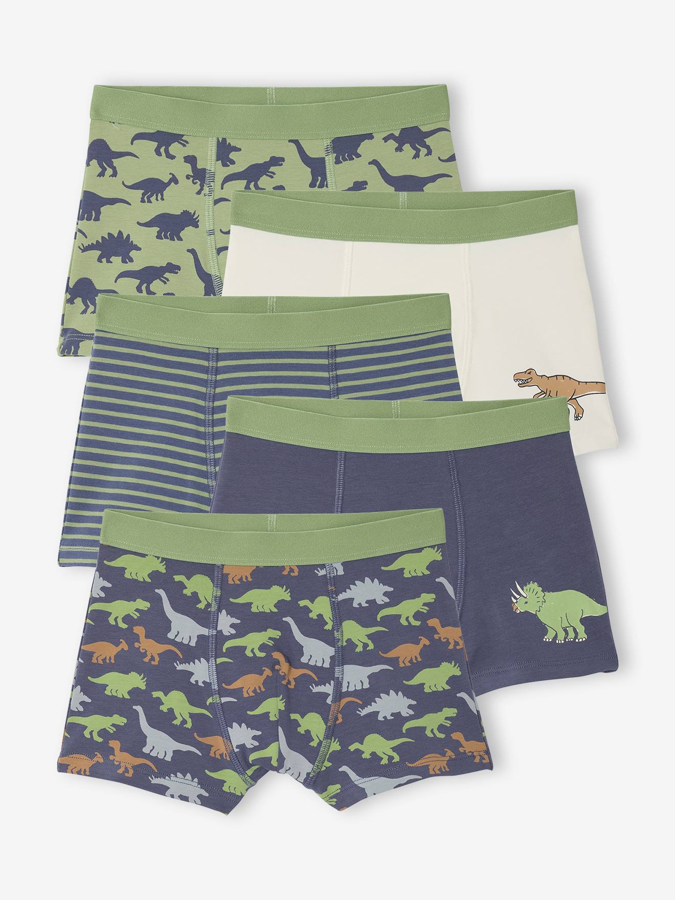 Set van 5 boxershorts voor jongens met dinosaurussen leiblauw afbeelding