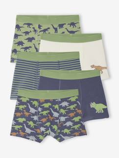 Jongens-Set van 5 boxershorts voor jongens met dinosaurussen