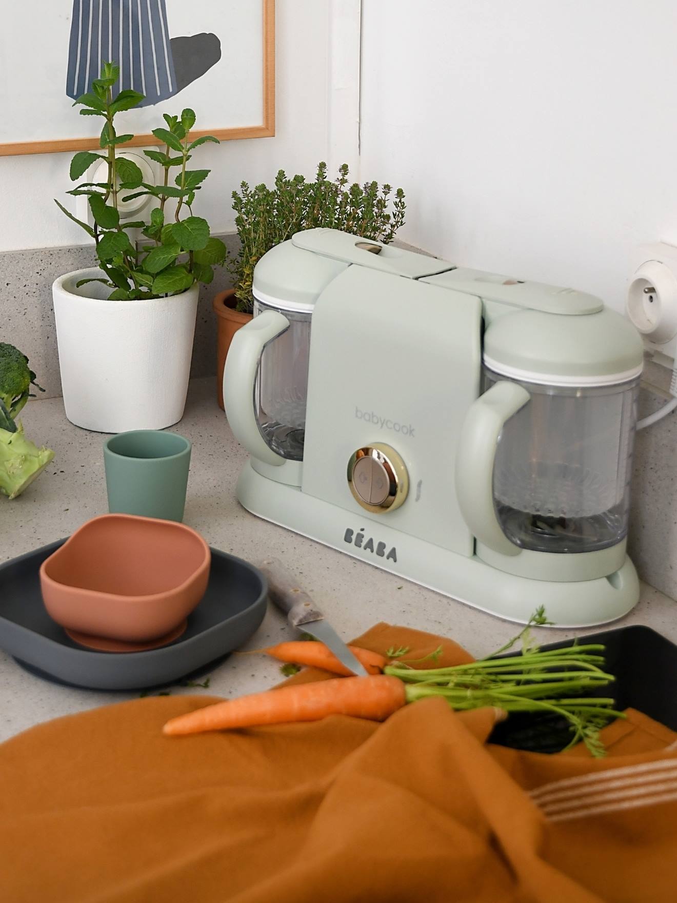 Robot 6 en 1 Babycook duo BEABA groen afbeelding