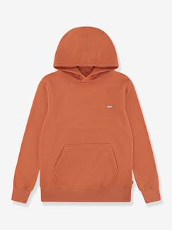 Jongens-Sweater met capuchon Mini Batwing Hoodie LEVI'S®