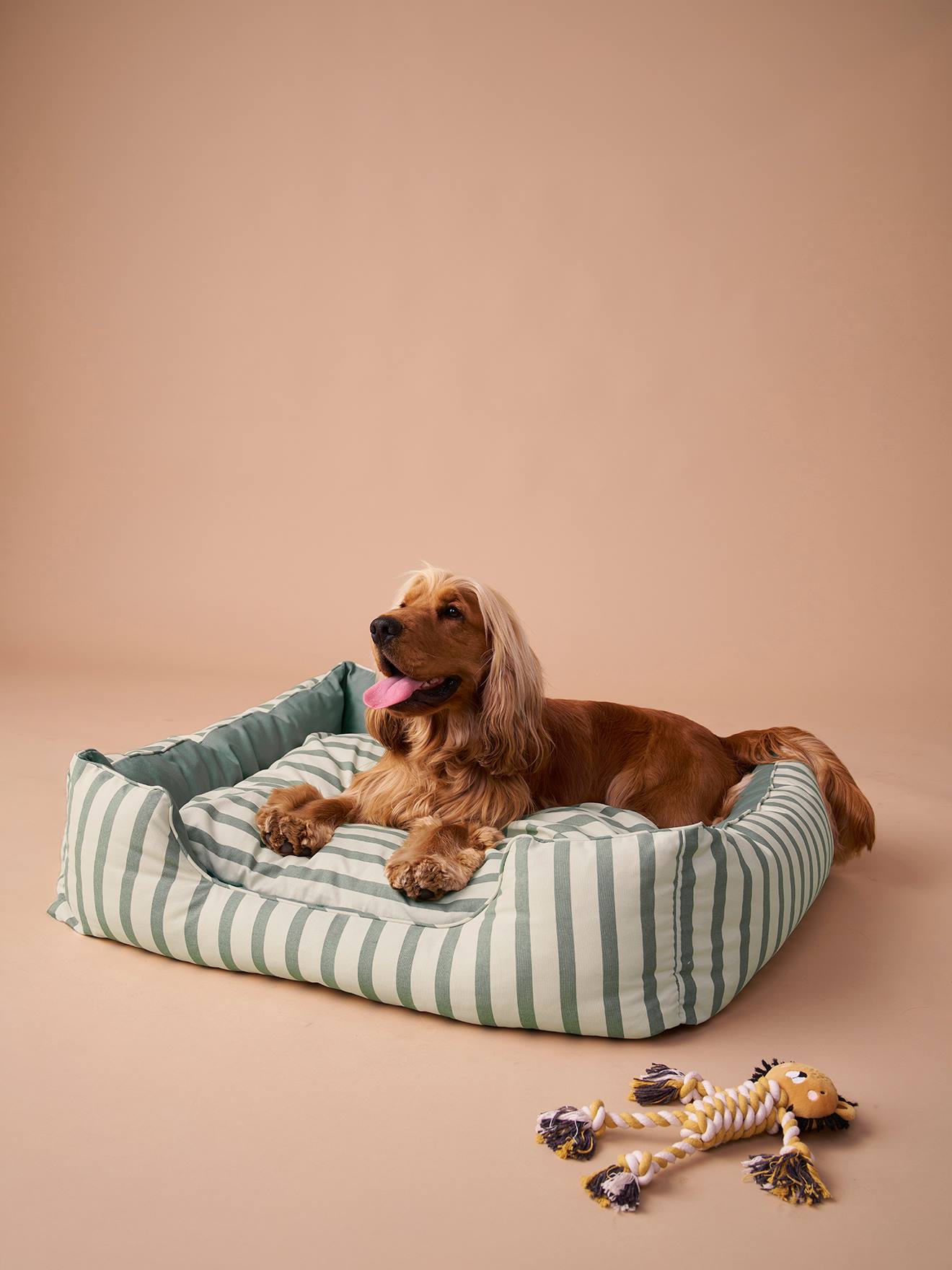 Katoenen canvas mand voor huisdier FAMILY groen, gestreept