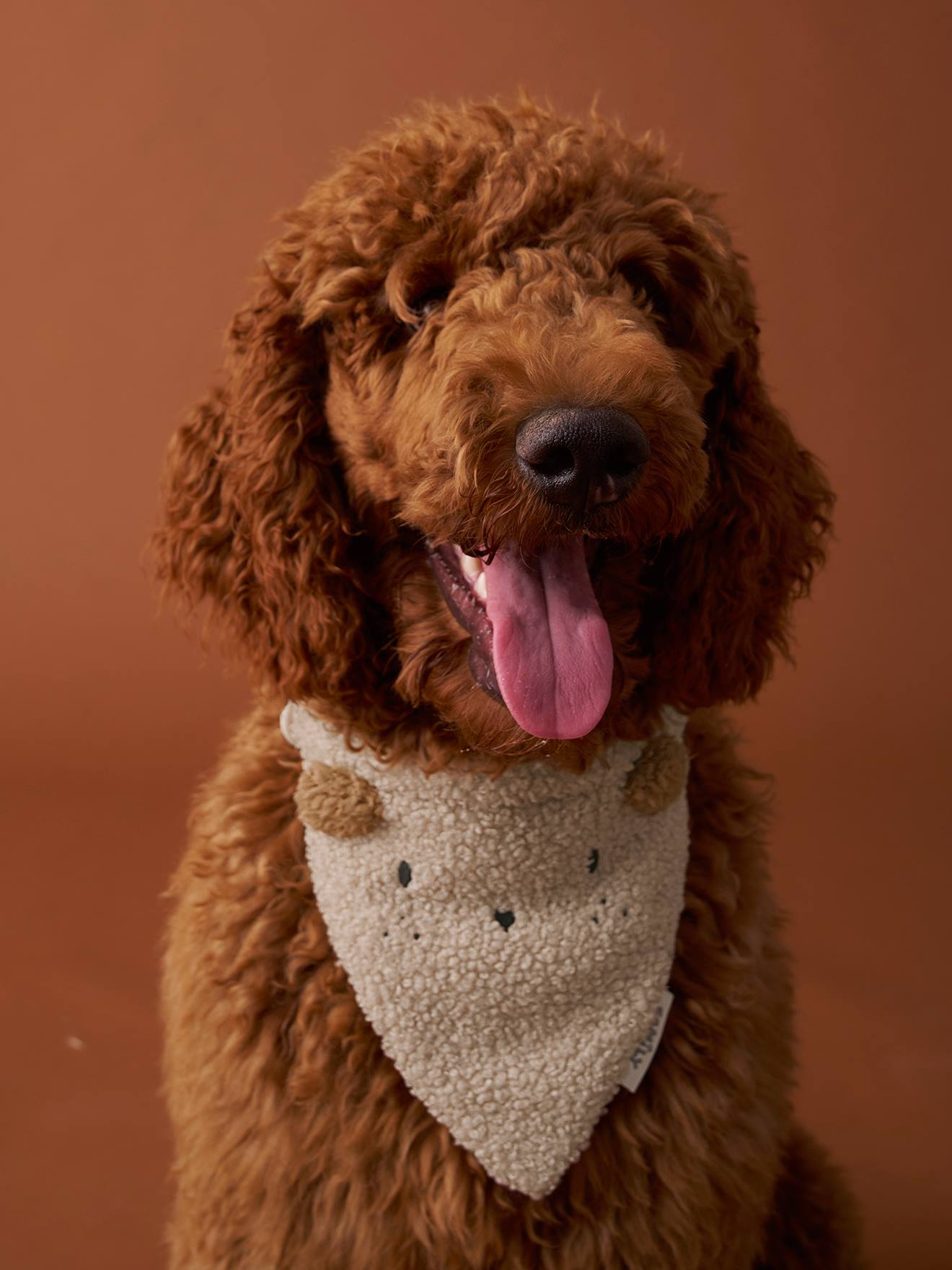 Bandanaslabbetje voor honden FAMILY ecru afbeelding