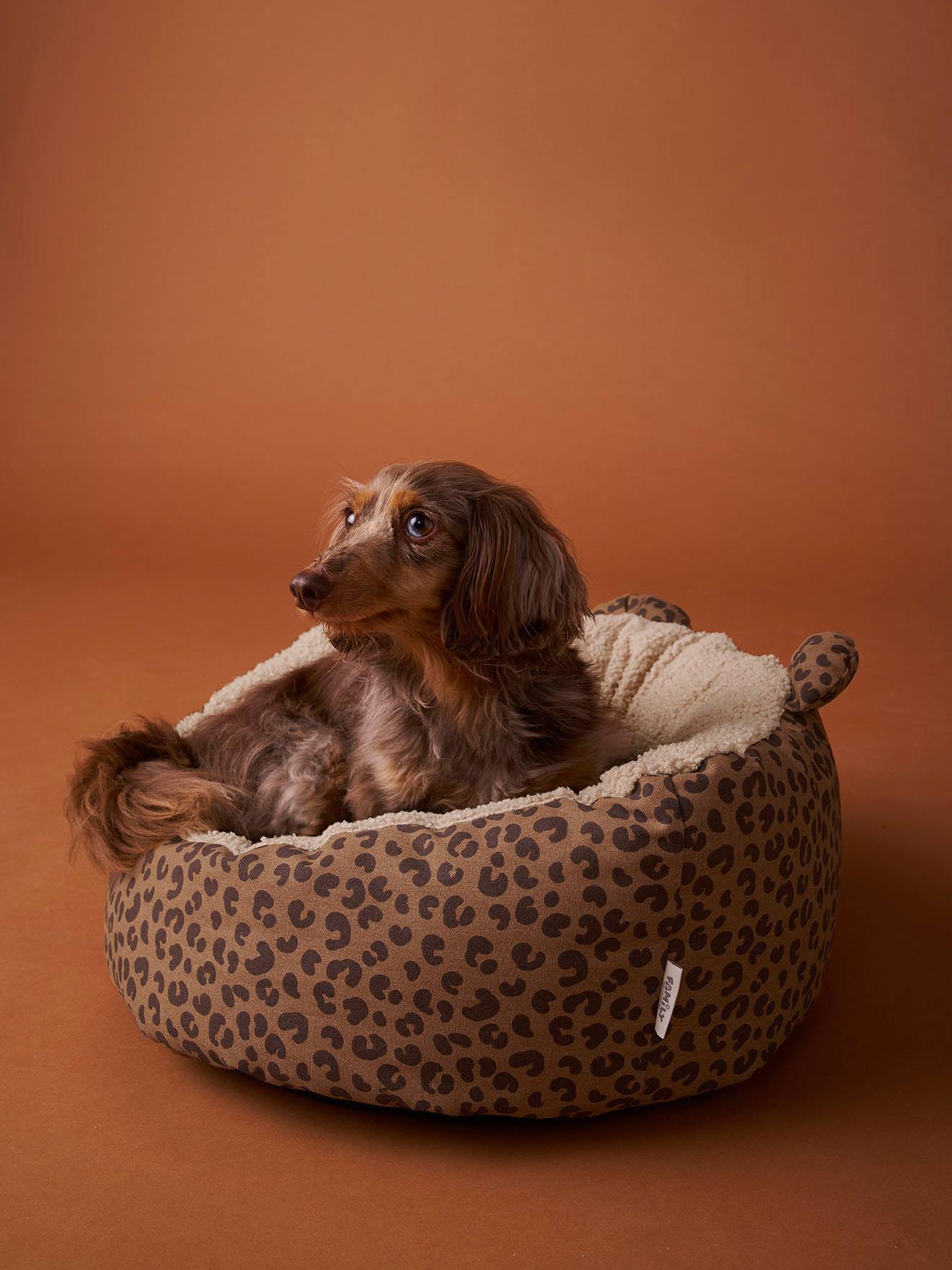 Gequilte mand voor huisdier FAMILY bruin, bedrukt afbeelding