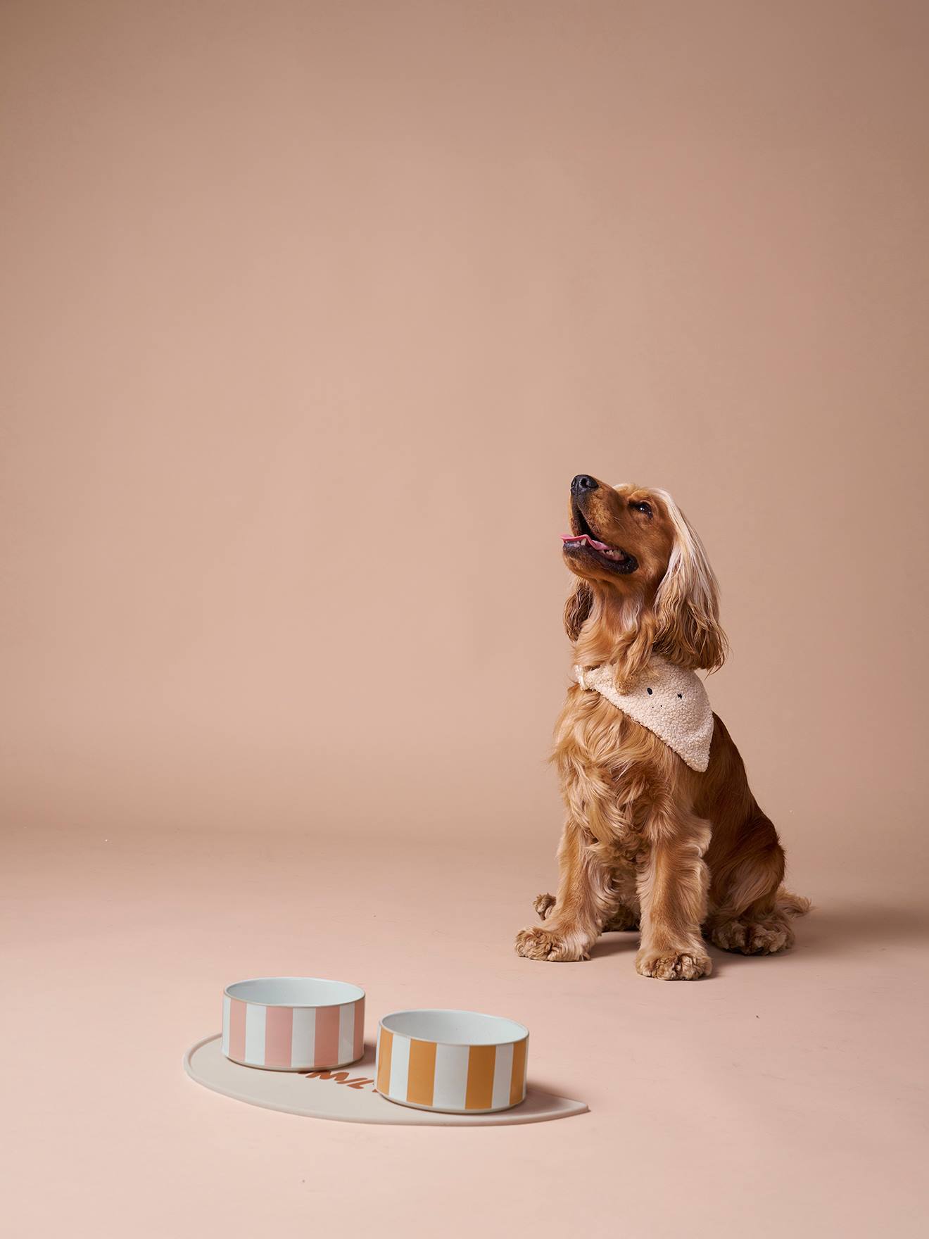 Tapijt voor FAMILY-voerbak beige